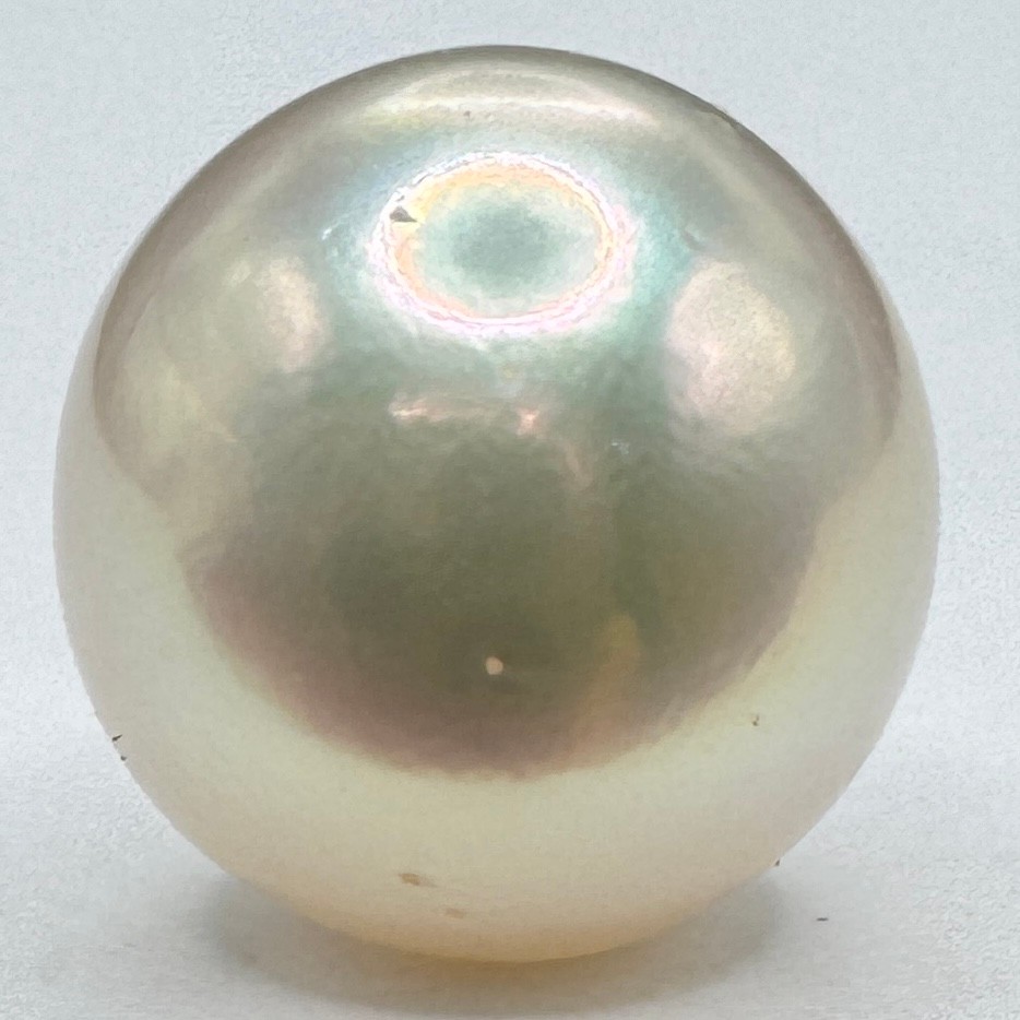 a1192 Akoya Pearl Loose Half-drilled 8.0–8.4mm Gem Jewelry Pre-owned Kyoto Japan K4U