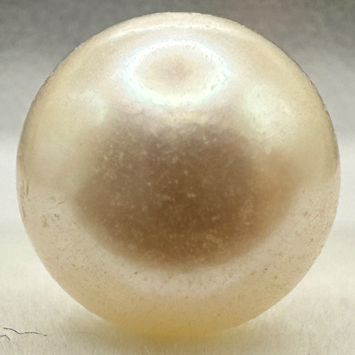 a1387 Akoya Pearl Loose Half-drilled 8.0–8.4mm Gem Jewelry Pre-owned Kyoto Japan K4U