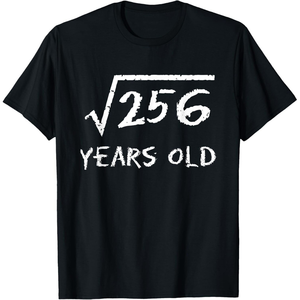Square Root Of 256 16Th Birthday 16 Years Old Math Funny Men T-Shirt
