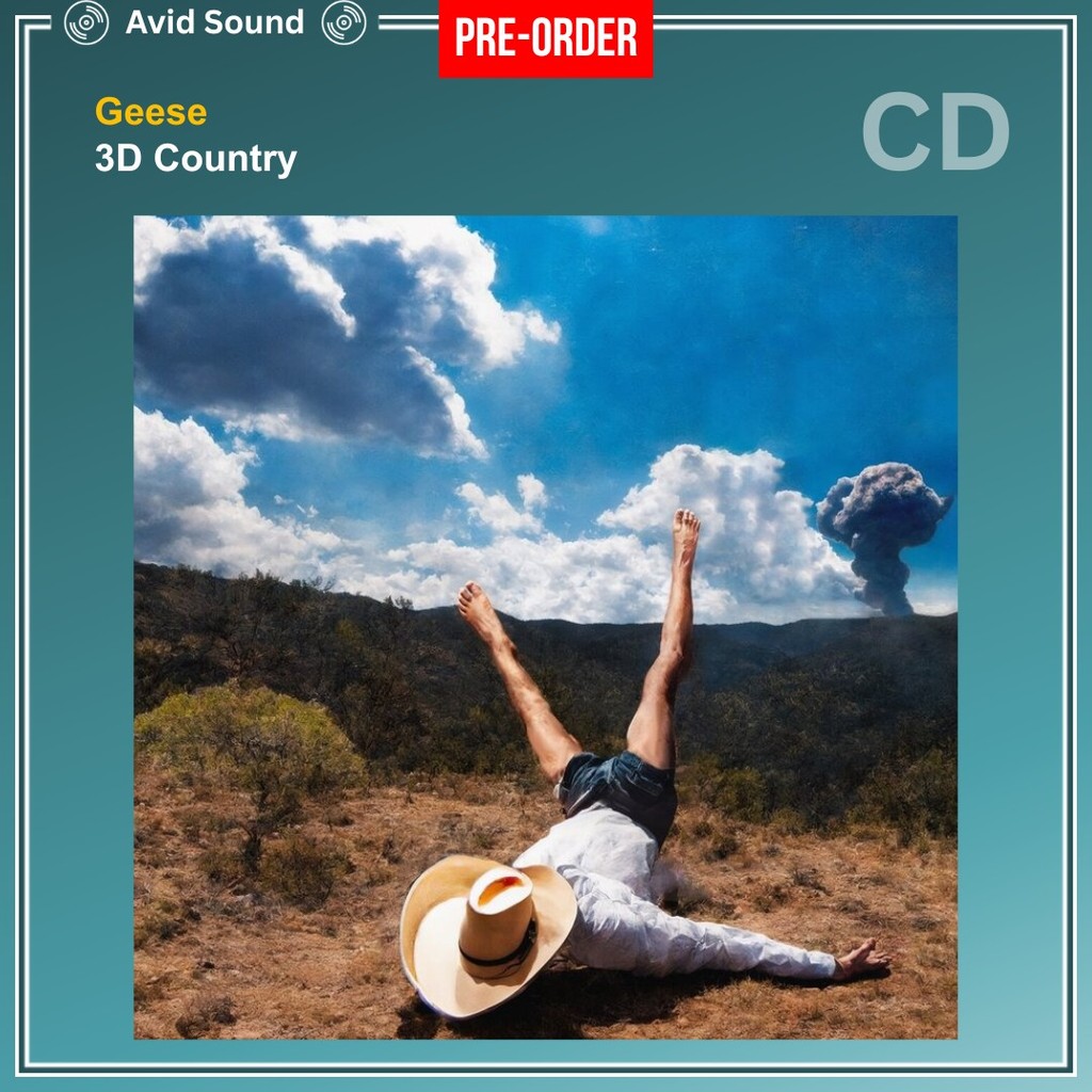 Pre-Order CD แผ่นซีดี Geese 3D Country ใหม่ ซีล Geese CD