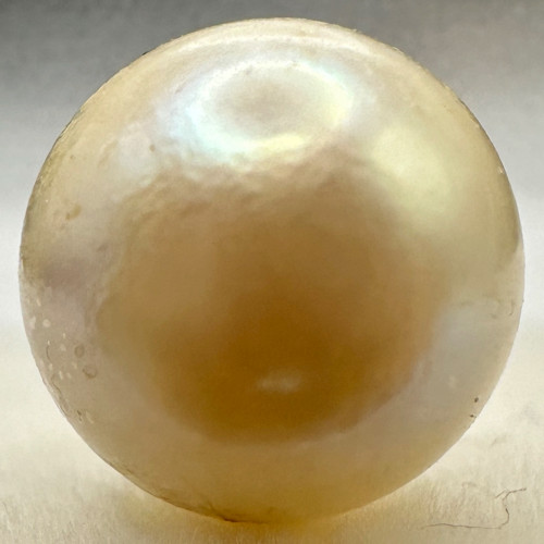 a1583 Akoya Pearl Loose Undrilled 7.5–7.9mm Gem Jewelry Pre-owned Kyoto Japan K4U