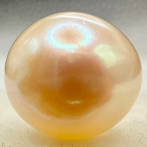 a1588 Akoya Pearl Loose Undrilled 8.0–8.4mm Gem Jewelry Pre-owned Kyoto Japan K4U