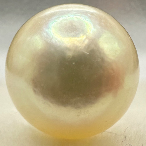 a1520 Akoya Pearl Loose Half-drilled 7.0–7.4mm Gem Jewelry Pre-owned Kyoto Japan K4U