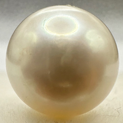 a1585 Akoya Pearl Loose Undrilled 7.5–7.9mm Gem Jewelry Pre-owned Kyoto Japan K4U