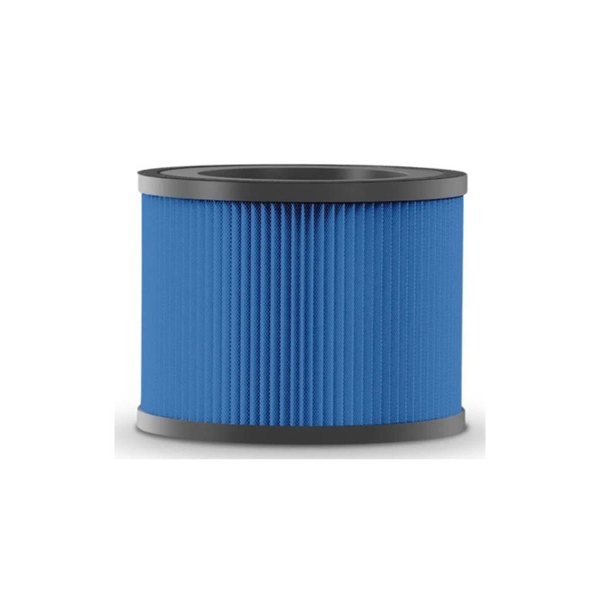 BWELL - Air Filter AP-8119US >