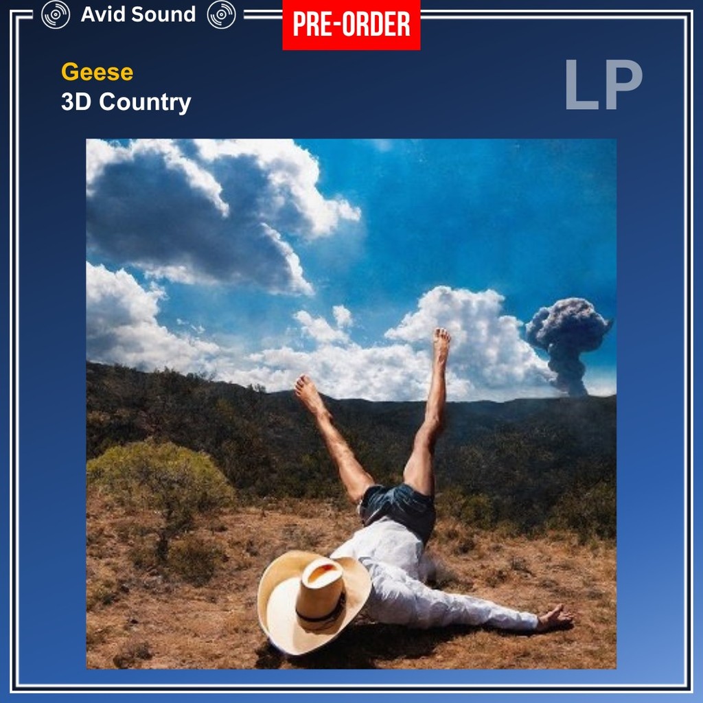 Pre-Order แผ่นเสียง Geese 3D Country ใหม่ ซีล Geese Vinyl LP