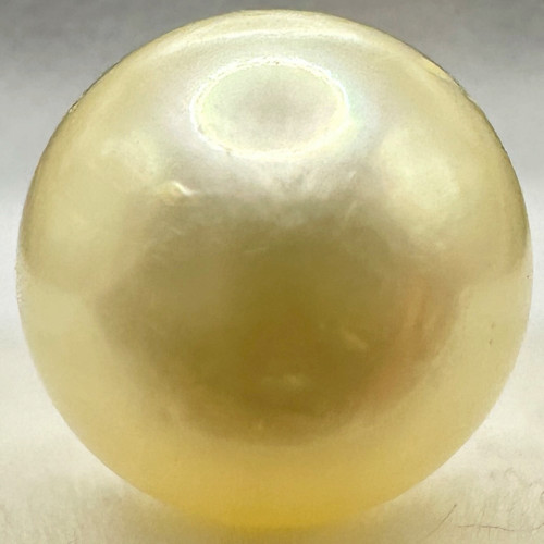 a1586 Akoya Pearl Loose Undrilled 7.0–7.4mm Gem Jewelry Pre-owned Kyoto Japan K4U