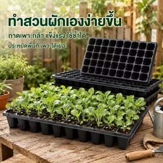 ถาดหลุมเพาะกล้า พลาสติกหนา ทรงสี่เหลี่ยม ใช้เพาะผักสวนครัว ดอกไม้ ไม้อวบน้ำ แข็งแรง คุ้มค่า พร้อมปลูกที่บ้านได้