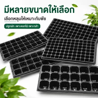 ถาดหลุมเพาะกล้า พลาสติกหนา ทรงสี่เหลี่ยม ใช้เพาะผักสวนครัว ดอกไม้ ไม้อวบน้ำ แข็งแรง คุ้มค่า พร้อมปลูกที่บ้านได้