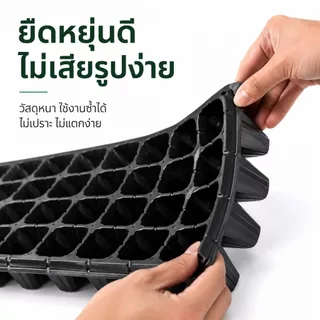 ถาดหลุมเพาะกล้า พลาสติกหนา ทรงสี่เหลี่ยม ใช้เพาะผักสวนครัว ดอกไม้ ไม้อวบน้ำ แข็งแรง คุ้มค่า พร้อมปลูกที่บ้านได้
