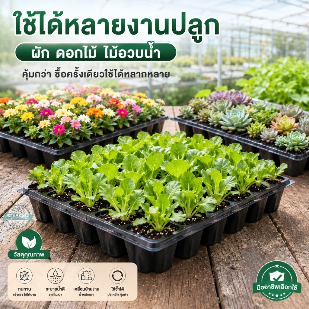 ถาดหลุมเพาะกล้า พลาสติกหนา ทรงสี่เหลี่ยม ใช้เพาะผักสวนครัว ดอกไม้ ไม้อวบน้ำ แข็งแรง คุ้มค่า พร้อมปลูกที่บ้านได้