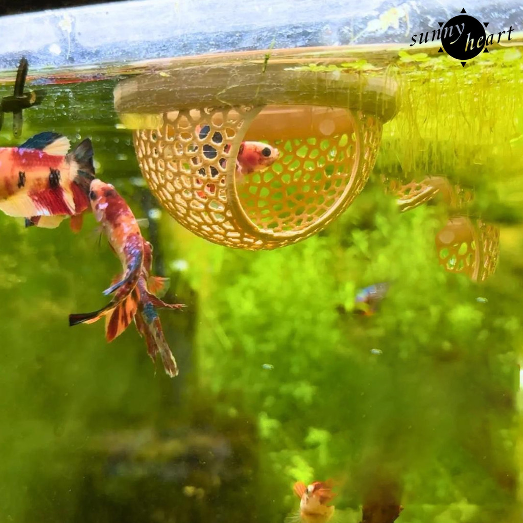 Sunnyheart Betta Fish Hideout 3D พิมพ์ลอย Betta Cave Aquarium Hammock กุ้ง Feeder แหวนให้อาหารปลาสํา
