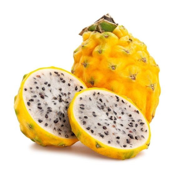 15 เมล็ด แก้วมังกร Pitaya Dragon fruit Seeds สายพันธุ์ Yellow Israel Dragon Fruit