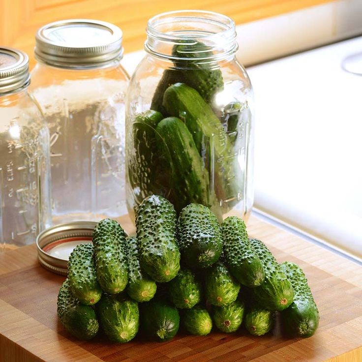 30 เมล็ด เมล็ดพันธุ์ แตงกวา แตงขี้ไก่ แตงปี แตงร้าน Non-GMO Cucumber สายพันธุ์ Gherking F1