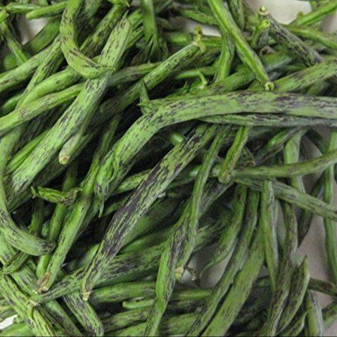 15 เมล็ด ถั่วแขก Beans Seeds Non-GMO ผักสวนครัว สายพันธุ์ Rattlesnake Pole Bean