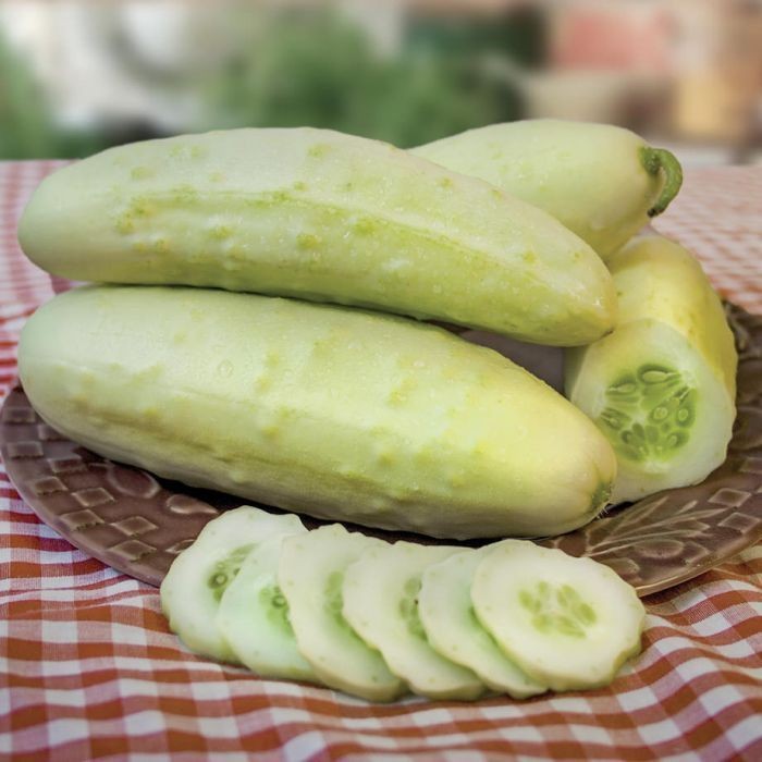 30 เมล็ด เมล็ดพันธุ์ แตงกวา แตงขี้ไก่ แตงปี แตงร้าน Non-GMO Cucumber Seeds สายพันธุ์ Martini - (F1)