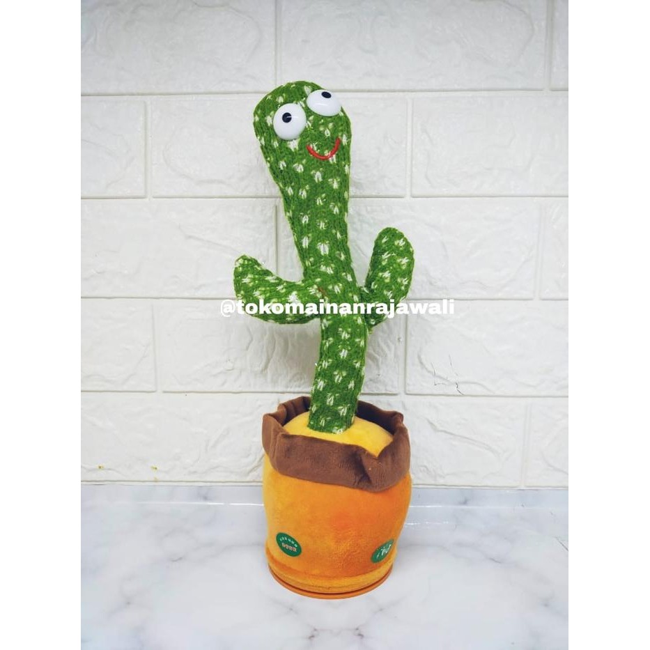 ROCKING CACTUS - ROCKING CACTUS ของเล่น, DUCK, JOGET และ SOUND CODE 777