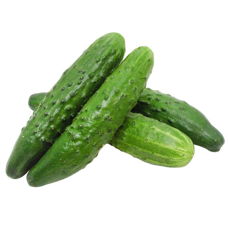 30 เมล็ด เมล็ดพันธุ์ แตงกวา แตงขี้ไก่ แตงร้าน Non-GMO Cucumber Seeds สายพันธุ์ ESTAFETA F1