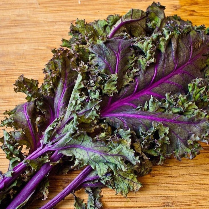 100 เมล็ด เมล็ดพันธุ์ คะน้า ไก่หลันไช่ ผักคะน้า kale Seeds Non-GMO สายพันธุ์ เรดไซบีเรียน (Red Siber