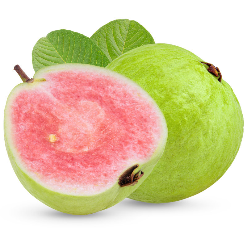 20 เมล็ด ฝรั่งไส้แดง สายพันธุ์ หงเป่าเสือ หวานกรอบ Guava Seeds