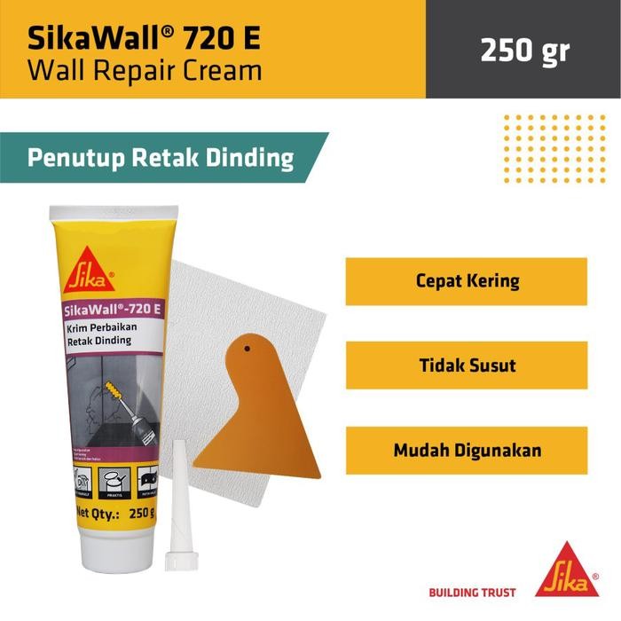Choice - Sikawall 720E 250Gr Repair Cream Putty Repair Cracked Wall Patch