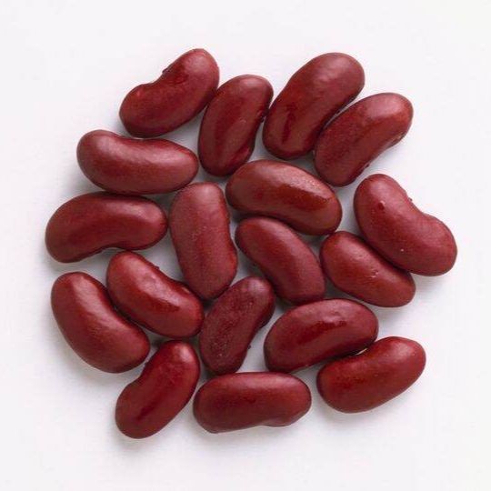 30 เมล็ด ถั่วแดง Kidney bean Seeds