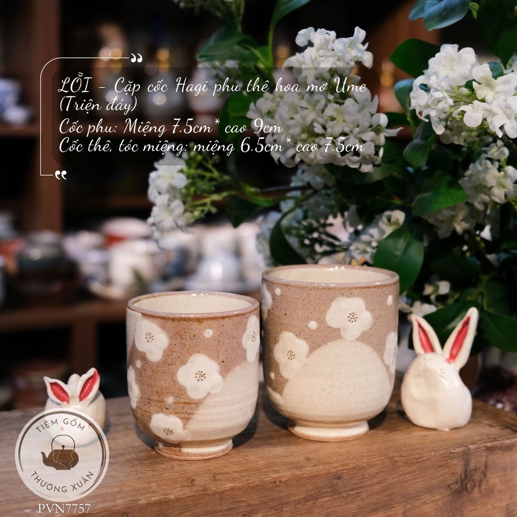 ERROR คู่ Ume ดอกแอปริคอท Hagi ถ้วย (กลุ่มล่าง)