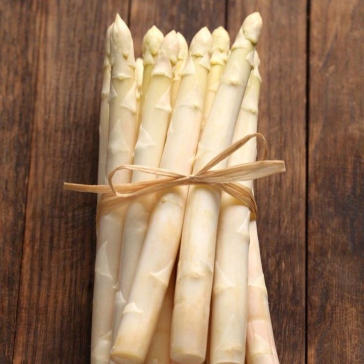 5 เมล็ด เมล็ดพันธุ์ หน่อไม้ฝรั่ง Asparagus Seeds เมล็ดผัก Non-GMO สายพันธุ์ White Asparagus