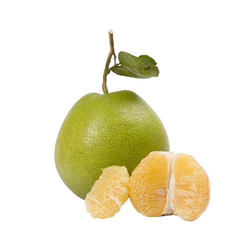 10 เมล็ด ส้มโอ สายพันธุ์ ขาวน้ำผึ้ง Pomelo Seeds