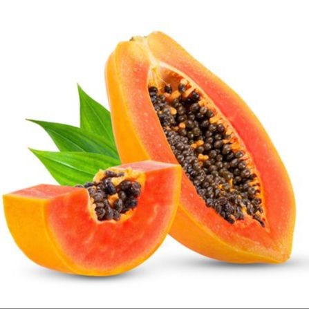 50 เมล็ด มะละกอ สวนครัว สายพันธุ์ Papaya Carica papaya