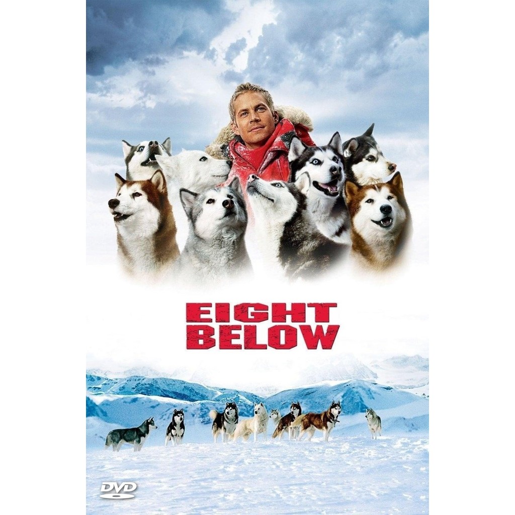 DVD Eight Below พากย์ไทย