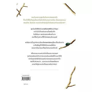 หนังสือ The Cruel Prince เจ้าชายผู้เหี้ยมโหด (New)