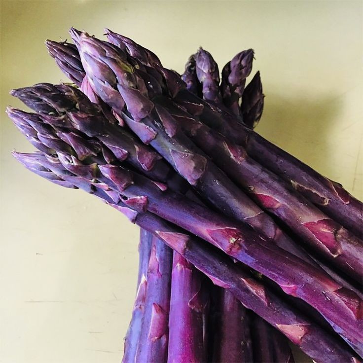 5 เมล็ด หน่อไม้ฝรั่ง Asparagus Seeds เมล็ดผักสวนครัว สายพันธุ์ Purple Passion