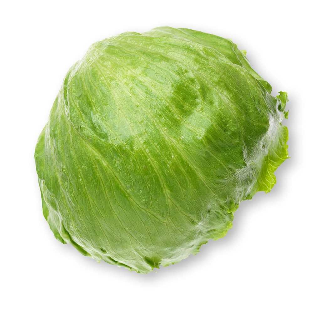 100 เมล็ด เมล็ดผัก ผักสลัด Iceberg Lettuce สลัดแก้ว ผักปลอดสารพิษ Lettuce Vegetable Seeds