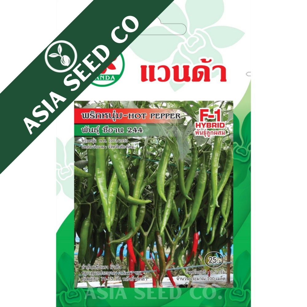 Vanda Seeds พริกหนุ่ม F1 Hybrid -พันธุ์ ซีอาน 244 Hot Pepper F1 Hybrid - Xian 244 0.5g
