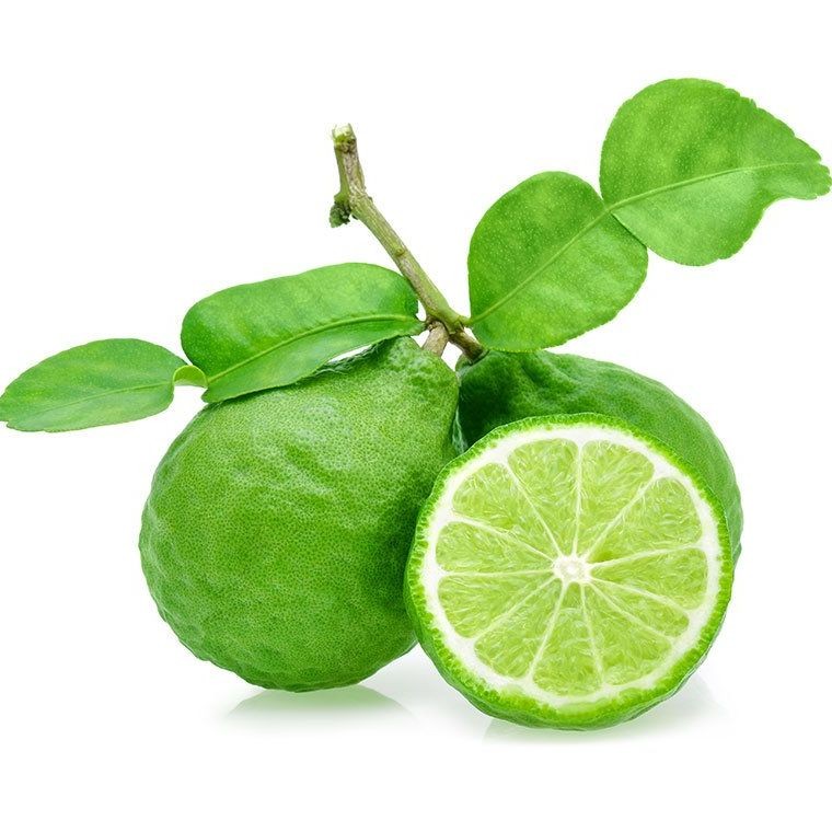 20 เมล็ด มะกรูด มะขู มะขุน มะขูด ส้มกรูด ส้มมั่วผี Kaffir lime Seeds