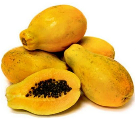 15 เมล็ด มะละกอ สายพันธุ์  ฮาวาย Papaya Seeds