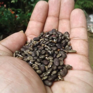 20 เมล็ด ดอกอัญชัน ดอกไม้สวรรค์ ผักออแกนิค สวนครัว ปลูกในกระถางได้ Vegetable Seeds สีเหลือง