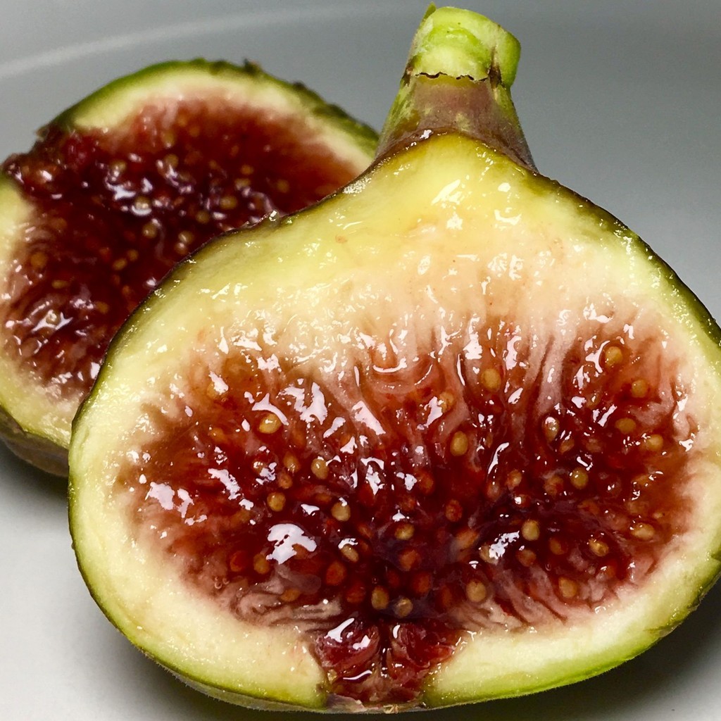 15 เมล็ด มะเดื่อฝรั่ง ลูกฟิก รสชาติหวาน หอม Figs Fruit Seeds สายพันธุ์ Smith