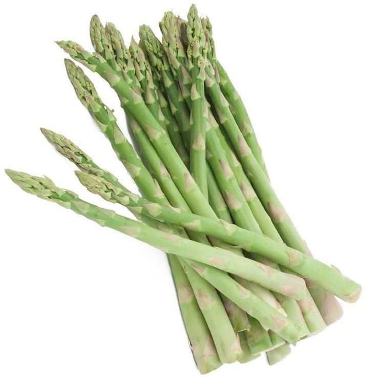 25 เมล็ด หน่อไม้ฝรั่ง Asparagus Seeds เมล็ดผัก Non-GMO สายพันธุ์ UC 157