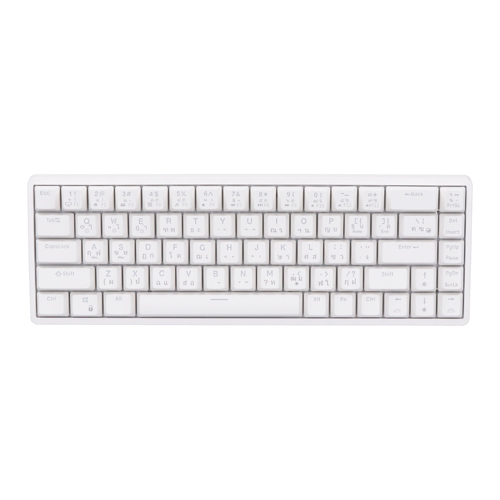 WIRELESS KEYBOARD (คีย์บอร์ดไร้สาย) ROYAL KLUDGE RKG68 RGB (WHITE) (BLUE SWITCH - RGB - EN/TH) (