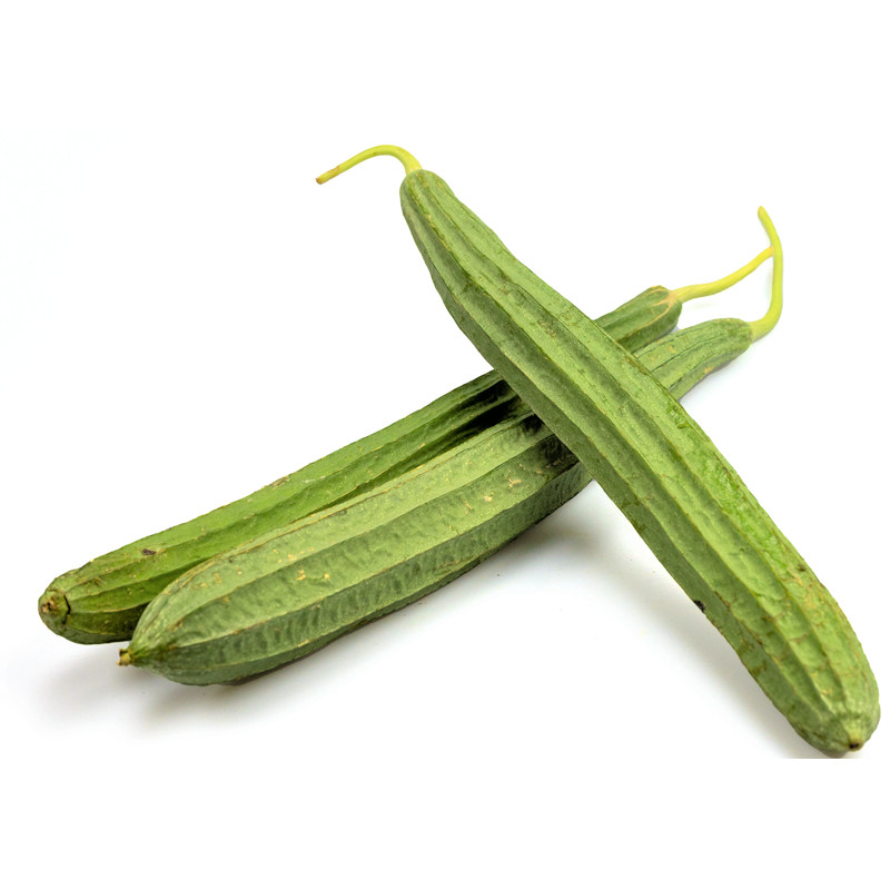 10 เมล็ด เมล็ดพันธุ์ บวบเหลี่ยม Chinese okra Seeds