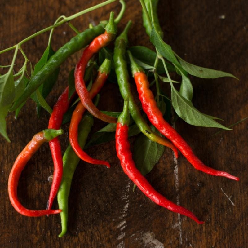 20 เมล็ด พริก พริก ปลูก 120 วัน ออกผล pepper seeds สายพันธุ์ Cayenne Pepper