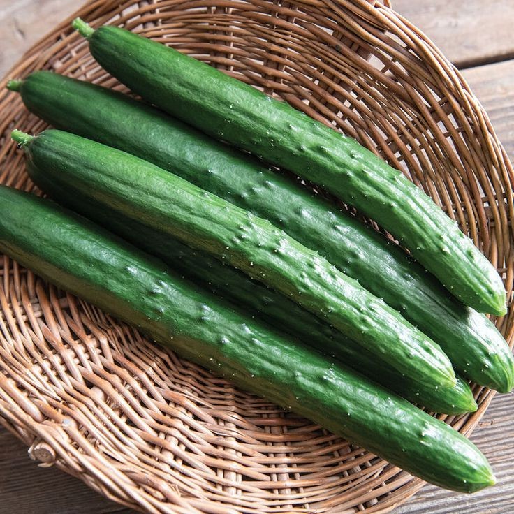 30 เมล็ด เมล็ดพันธุ์ แตงกวา แตงขี้ไก่ แตงขี้ควาย แตกช้าง แตงปี แตงร้าน Cucumber สายพันธุ์ Sashimi - 