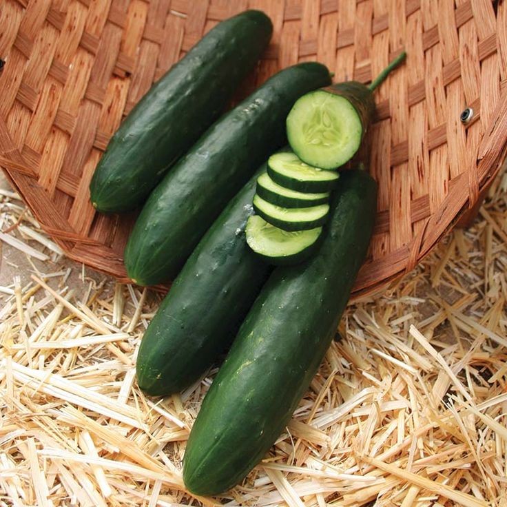 30 เมล็ด เมล็ดพันธุ์ แตงกวา แตงขี้ไก่ แตงขี้ควาย แตกช้าง แตงปี แตงร้าน Cucumber สายพันธุ์ Paraiso F1