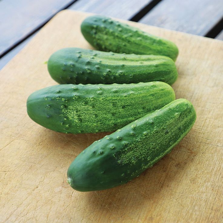 30 เมล็ด เมล็ดพันธุ์ แตงกวา แตงขี้ไก่ แตงร้าน Non-GMO Cucumber Seeds สายพันธุ์ Regal F1