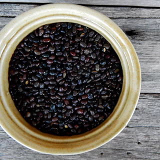 20 เมล็ด ดอกอัญชัน ดอกไม้สวรรค์ ผักออแกนิค สวนครัว ปลูกในกระถางได้ Vegetable Seeds สีแดง