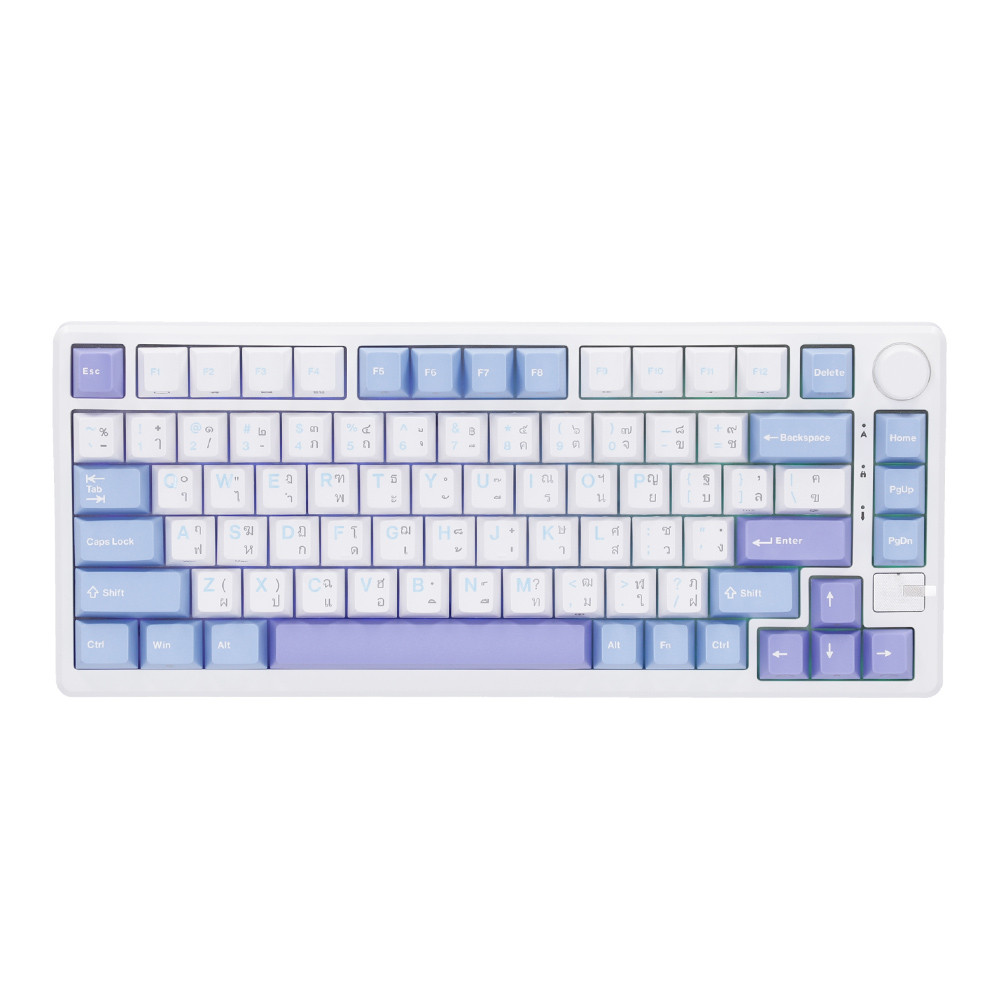 WIRELESS KEYBOARD (คีย์บอร์ดไร้สาย) ROYAL KLUDGE RKM75 SILVER SWITCH RGB EN/TH - TAROMILK --