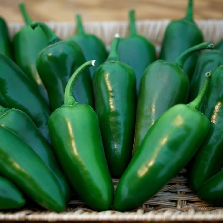 20 เมล็ด เมล็ดพันธุ์ พริก พริกแต้ พริกแจว Non-GMO Pepper Seeds เมล็ดผัก สายพันธุ์ Jalapeno Peppers