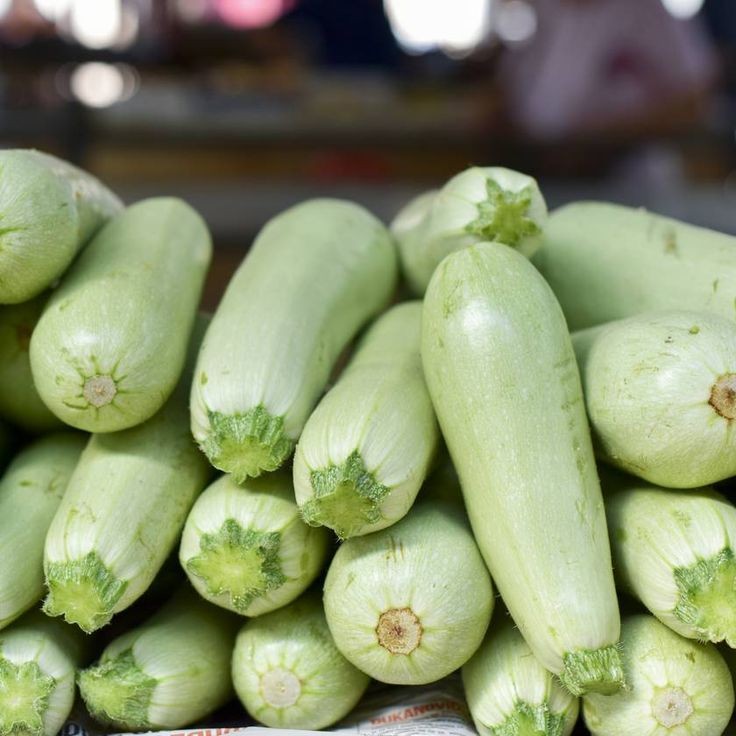 10 เมล็ด เมล็ดพันธุ์ ซูกินี บวบฝรั่ง หรือ คอร์เกตต์ (courgette) Zucchini Seeds สายพันธุ์ Lebanese Zu